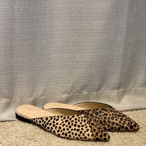Birdies “The Swan” Cheetah Mules